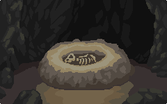 Fossil Discovery